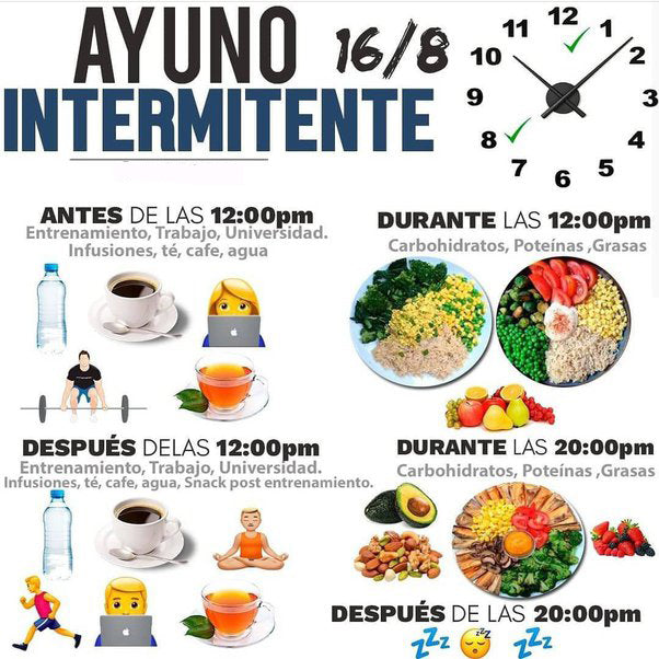 El Ayuno Intermitente 16:8 Para Principiantes